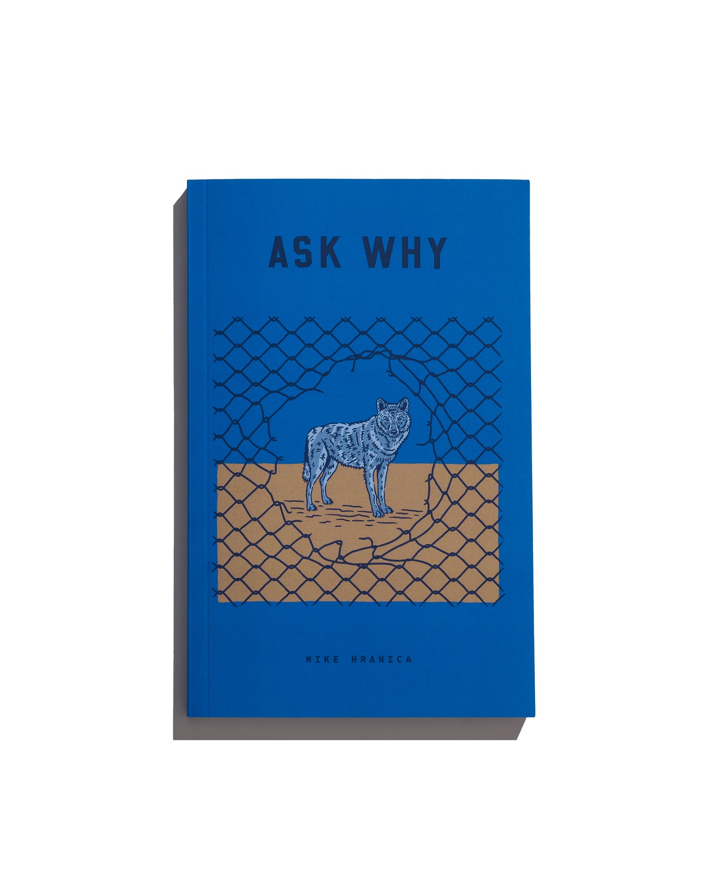 Ask Why